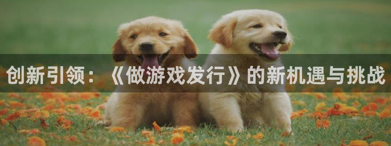 亿万28官网注册登录：创新引领：《做游戏发行》的新机遇与挑战