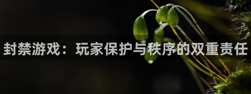 亿万28子文化游戏：封禁游戏：玩家保护与秩序的双重责任