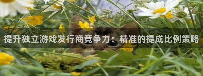 陕西亿万28子文化创意是干什么的：提升独立游戏发行商竞争力：精准的提成比例策略