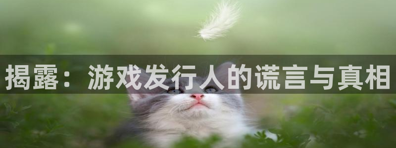 亿万28官网注册平台是什么软件：揭露：游戏发行人的谎言与真相