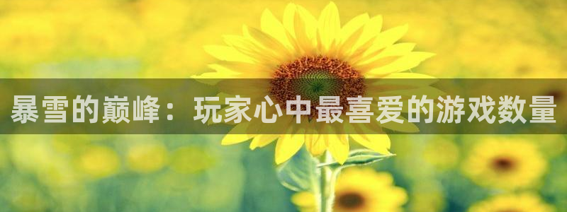 亿万28科技股票：暴雪的巅峰：玩家心中最喜爱的游戏数量