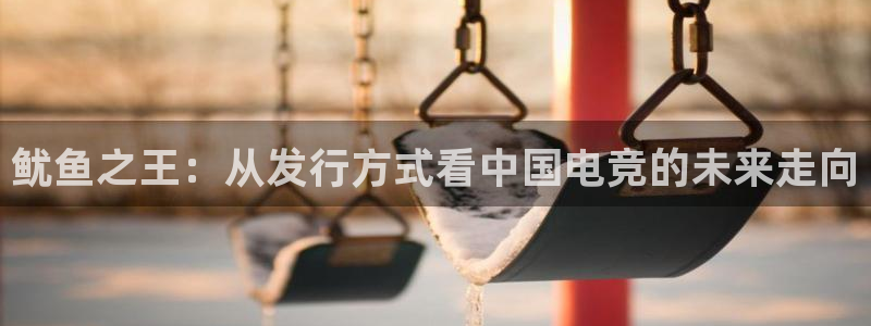 法国亿万28官网：鱿鱼之王：从发行方式看中国电竞的未来走向