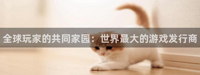 亿万28是哪个国家的衣服品牌：全球玩家的共同家园：世界最大的游戏发行商