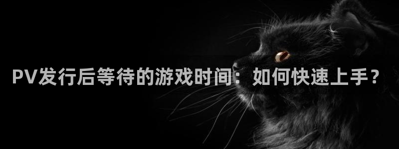 亿万28技术有限公司：PV发行后等待的游戏时间：如何快速上手？
