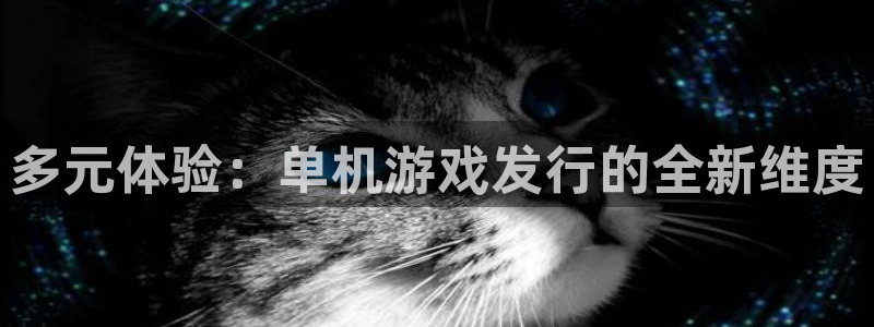 亿万28官网登录注册账号安全吗可靠吗：多元体验：单机游戏发行的全新维度