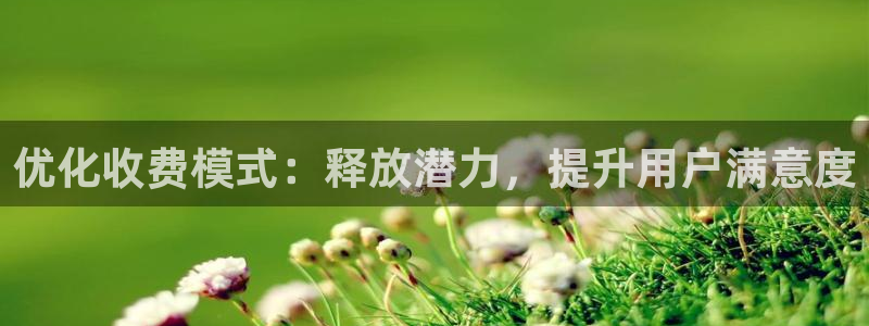 亿万28官网客服服务怎么样：优化收费模式：释放潜力，提升用户满意度