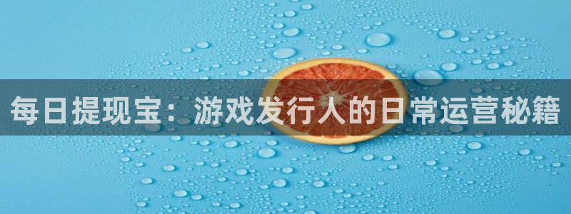 亿万28子财经丛书：每日提现宝：游戏发行人的日常运营秘籍