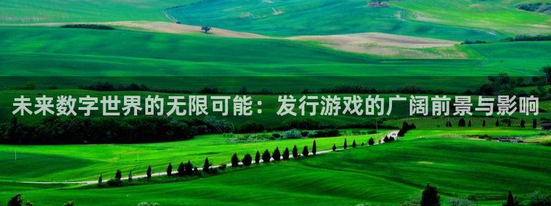 亿万28官网注册地址查询官网：未来数字世界的无限可能：发行游戏的广阔前景与影响