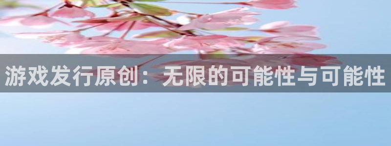 亿万28官网注册平台官网：游戏发行原创：无限的可能性与可能性