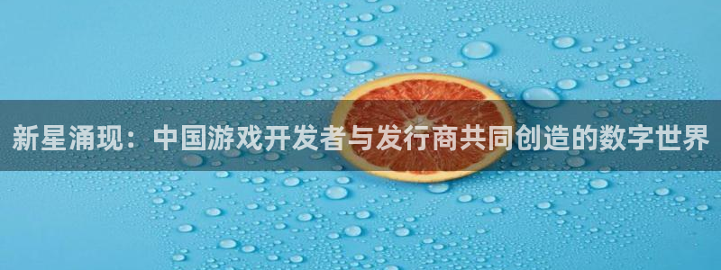 亿万28服装：新星涌现：中国游戏开发者与发行商共同创造的数字世界