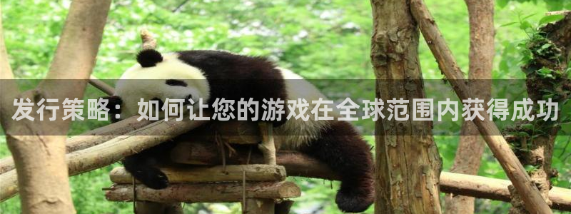 亿万28官网注册方法是什么样的：发行策略：如何让您的游戏在全球范围内获得成功