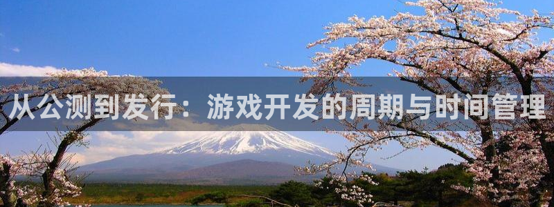 亿万28电子科技怎么样