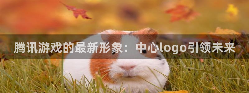 lvnces亿万28衣服：腾讯游戏的最新形象：中心logo引领未来
