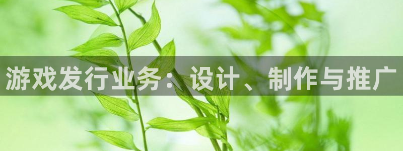 江苏亿万28智得新材料有限公司：游戏发行业务：设计、制作与推广