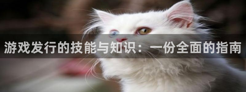 法国亿万28官网