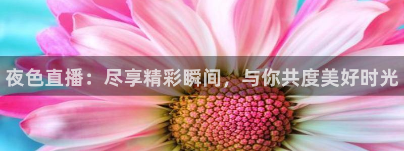 飞速体育直播app下载：夜色直播：尽享精彩瞬间，与你共度美好时光