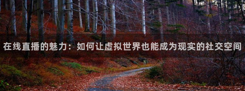 飞速体育直播\'：在线直播的魅力：如何让虚拟世界也能成为现实的社交空间
