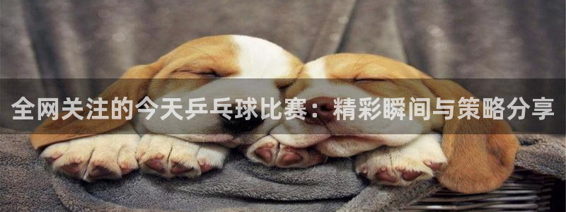 飞速直播足球比赛：全网关注的今天乒乓球比赛：精彩瞬间与策略分享