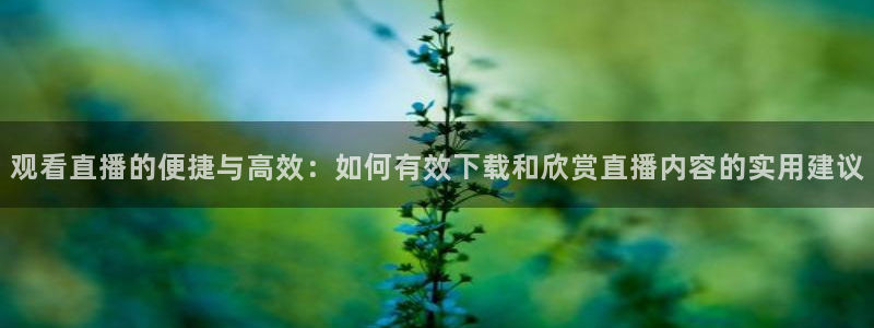 飞速足球直播吧：观看直播的便捷与高效：如何有效下载和欣赏直播内容的实用建议