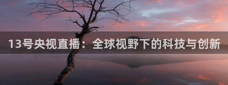 飞速体育高速直播：13号央视直播：全球视野下的科技与创新