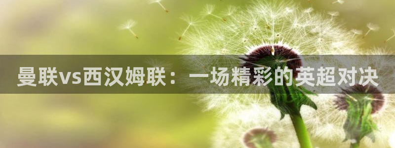 飞速直播在线直播：曼联vs西汉姆联：一场精彩的英超对决