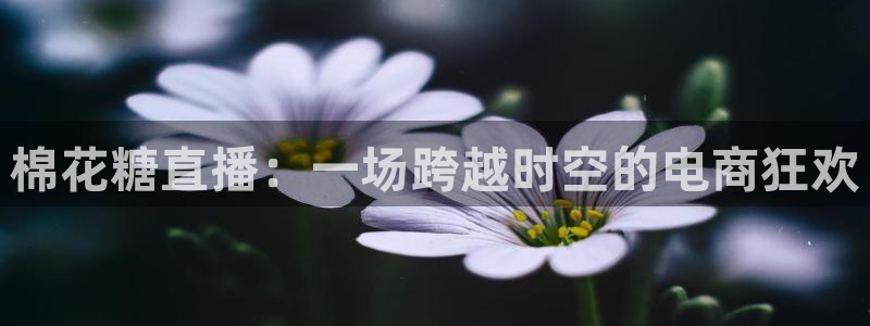 飞速nba直播在线观看：棉花糖直播：一场跨越时空的电商狂欢
