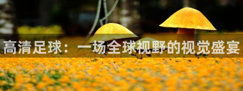 飞速直播体育在线直播：高清足球：一场全球视野的视觉盛宴